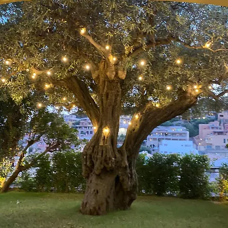 Сasa de vacaciones Relax