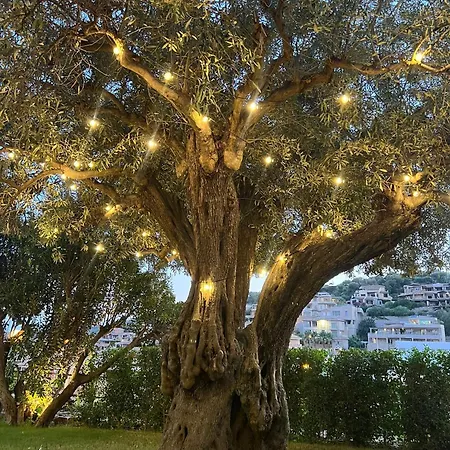 Relax Semesterbostad *