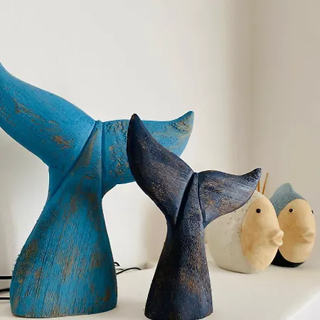 Relax * 빌라시미우스